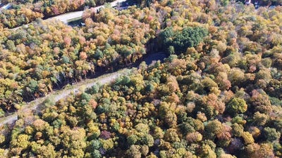 /international/ca/ch-du-village-saint-aime-du-lac-des-iles-quebec-310103151343/