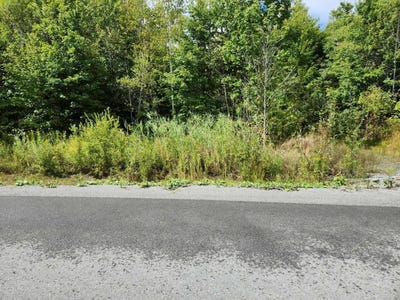 /international/ca/51-rue-monette-saint-hippolyte-quebec-310105430326/