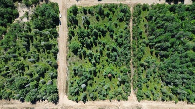 /international/ca/rue-de-la-savane-saint-alexis-des-monts-quebec-310109106724/