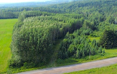 /international/ca/5e-rang-e-biencourt-qc-g0k1t0-ca-biencourt-quebec-310101281825/?lang=en