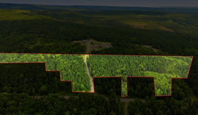 /international/ca/route-laflamme-saint-luc-de-bellechasse-quebec-310119354221/