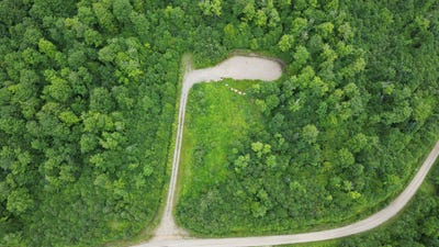 /international/ca/94-ch-du-rat-musque-notre-dame-des-bois-qc-j0b2e0-ca-notre-dame-des-bois-quebec-310101174004/?lang=zh-tw