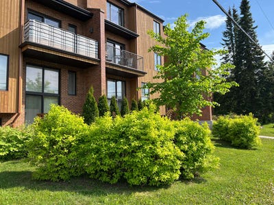 /international/ca/312-rue-du-bosquet-rimouski-quebec-310108808832/