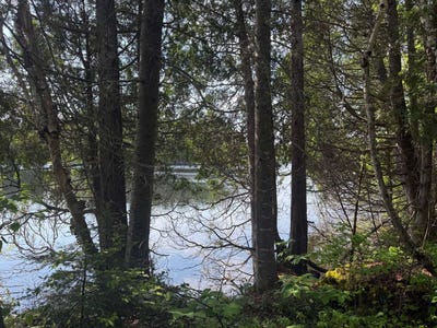 /international/ca/3322-sent-nil-simard-la-baie-qc-g7b3p7-ca-la-baie-quebec-310100437657/?lang=zh-tw