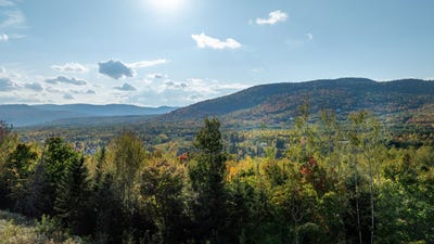 /international/ca/45-ch-des-pins-petite-riviere-saint-francois-quebec-310102552419/