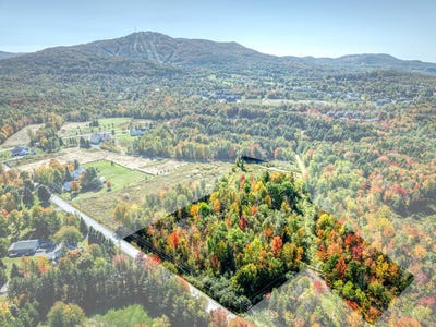 /international/ca/100-ch-de-lotbiniere-bromont-quebec-310102862054/