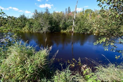 /international/ca/rg-procule-notre-dame-de-la-paix-quebec-310106708867/