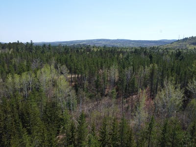/international/ca/ch-du-friche-clermont-quebec-310099546505/