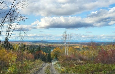 /international/ca/rue-principale-e-sainte-euphemie-sur-riviere-du-sud-quebec-310120594856/