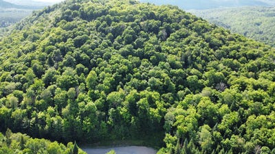 /international/ca/71-ch-mariane-lac-superieur-quebec-310104568880/