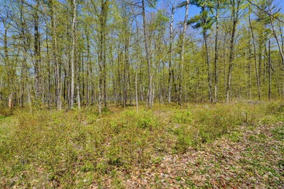 /international/ca/ch-du-bois-franc-mansfield-et-pontefract-quebec-310107675499/