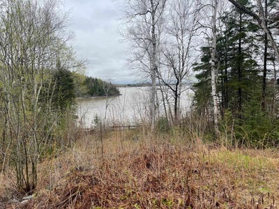 /international/ca/ch-du-boise-alma-quebec-310102547985/