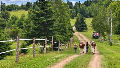 /international/ca/122-route-204-e-saint-adalbert-quebec-310120787912/