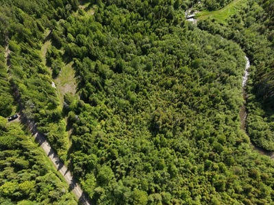 /international/ca/route-du-ruisseau-a-la-loutre-grosses-roches-quebec-310109201060/