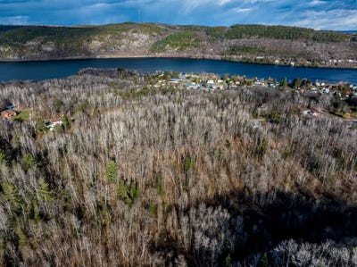 /international/ca/rue-de-la-colline-shawinigan-quebec-310104061878/