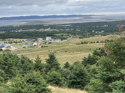 /international/ca/o-ch-de-l-etang-du-nord-les-iles-de-la-madeleine-quebec-310108260721/