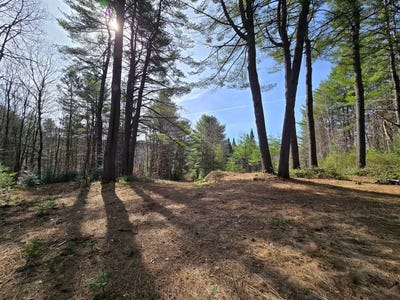 /international/ca/mtee-pinet-saint-calixte-quebec-310108127858/
