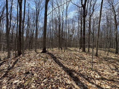 /international/ca/ch-du-lac-fiddler-mille-isles-quebec-310108241497/