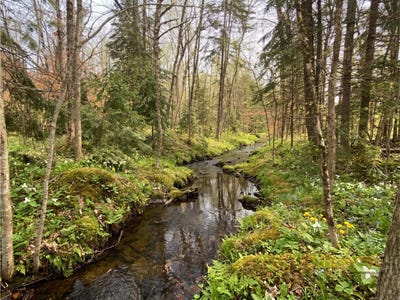 /international/ca/rue-du-canard-magog-quebec-310103701640/