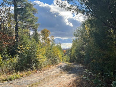 /international/ca/rue-anais-chertsey-quebec-310101967919/