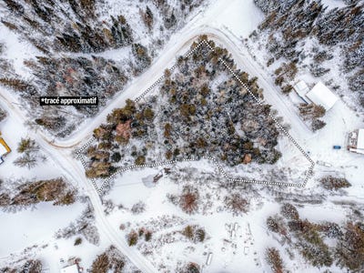 /international/ca/rue-roy-saint-come-quebec-310104188983/