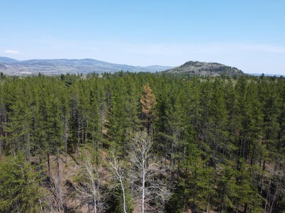 /international/ca/ch-du-friche-clermont-qc-g4a1e9-ca-clermont-quebec-310098205338/