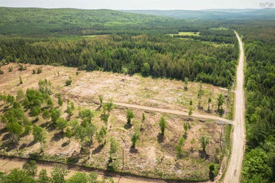 /international/ca/whycocomagh-port-hood-road-lot-2-mabou-nova-scotia-310098577377/