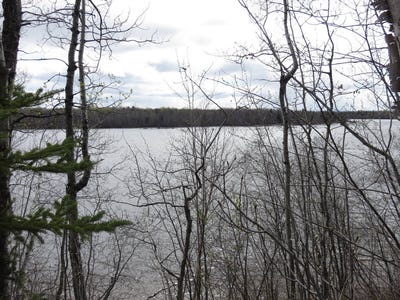 /international/ca/ch-de-la-pointe-saint-felicien-quebec-310108245671/