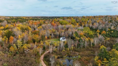 /international/ca/mill-road-mill-road-nova-scotia-310120791949/