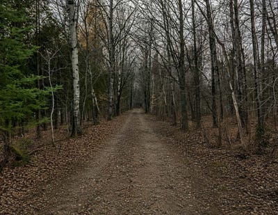 /international/ca/1er-rang-n-charette-quebec-310103800123/