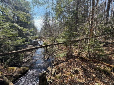 /international/ca/ch-de-la-montagne-brownsburg-chatham-quebec-310106515347/