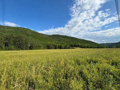 /international/ca/route-de-leglise-saint-maxime-du-mont-louis-qc-g0e1l0-ca-saint-maxime-du-mont-louis-quebec-310093884164/