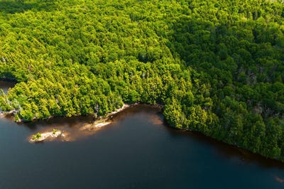 /international/ca/ch-du-poisson-blanc-notre-dame-du-laus-quebec-310100668028/