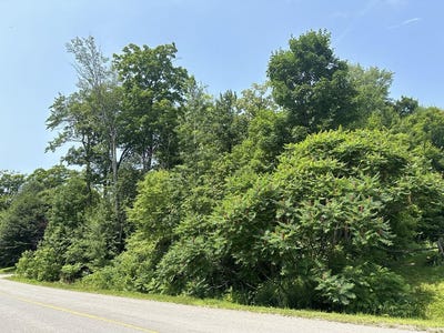 /international/ca/210-rue-des-gentianes-sainte-sophie-quebec-310100991943/?lang=zh-tw