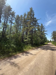/international/ca/32e-chemin-metabetchouan-lac-a-la-croix-quebec-310108701169/