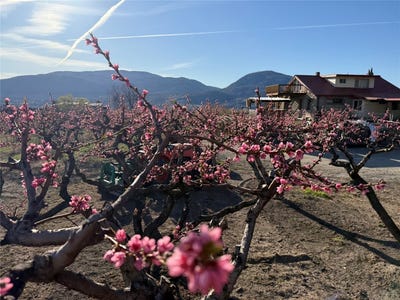 /international/ca/235-middle-bench-road-n-penticton-british-columbia-310107214416/