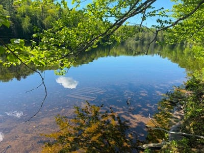 /international/ca/141-ch-du-lac-forgeron-notre-dame-du-laus-quebec-310107359520/