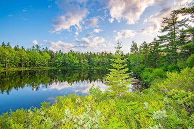 /international/ca/virginia-road-lot-12-springhill-nova-scotia-310098508422/