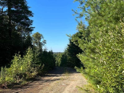 /international/ca/rue-anais-chertsey-quebec-310108950340/