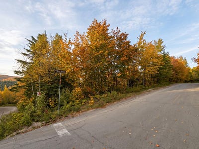 /international/ca/rue-du-mont-rainer-sainte-agathe-des-monts-quebec-310098799819/