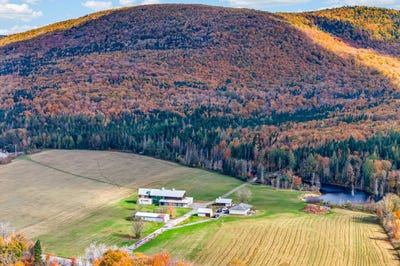 /international/ca/1176-1178-5e-avenue-saint-gabriel-de-valcartier-quebec-310106774592/