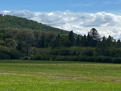 /international/ca/ch-de-leglise-s-mont-laurier-qc-j9l0h8-ca-mont-laurier-quebec-310094576444/