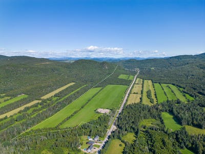 /international/ca/rg-ste-catherine-les-eboulements-qc-g0a2m0-ca-les-eboulements-quebec-310101470813/