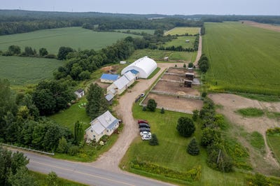 /international/ca/480-2e-rang-saint-barnabe-quebec-310100669882/