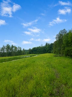 /international/ca/rg-de-la-chapelle-portneuf-quebec-310109019235/