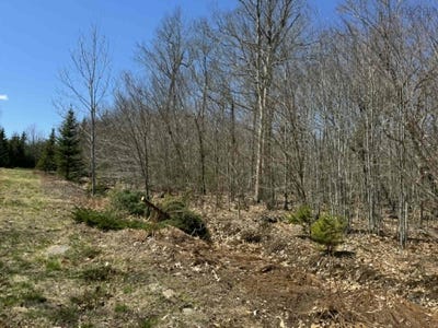 /international/ca/kill-dog-cove-road-lot-r-10-parkdale-nova-scotia-310108042530/