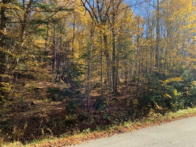 /international/ca/ch-de-la-presqu-ile-saint-aime-du-lac-des-iles-quebec-310096266925/