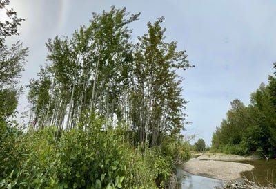 /international/ca/route-de-la-riviere-grande-vallee-quebec-310100717170/