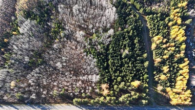 /international/ca/route-232-saint-eusebe-quebec-310103514777/