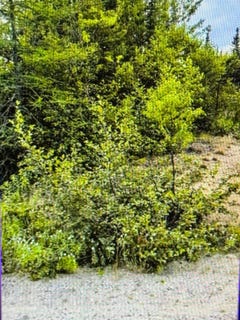 /international/ca/165-rue-saturne-sept-iles-quebec-310108892195/